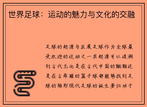 世界足球：运动的魅力与文化的交融