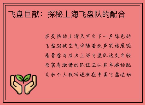 飞盘巨献：探秘上海飞盘队的配合